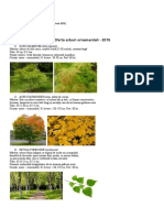 Arbori-ornamentali-.pdf