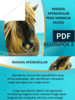 Rangka Apendikular Pada Mamalia (KUDA) : Kelompok 8