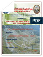 Informe de Densidad de Campo