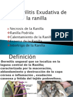 Desmovilitis Exudativa de La Ranilla