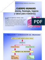 T9 Hormonas PDF