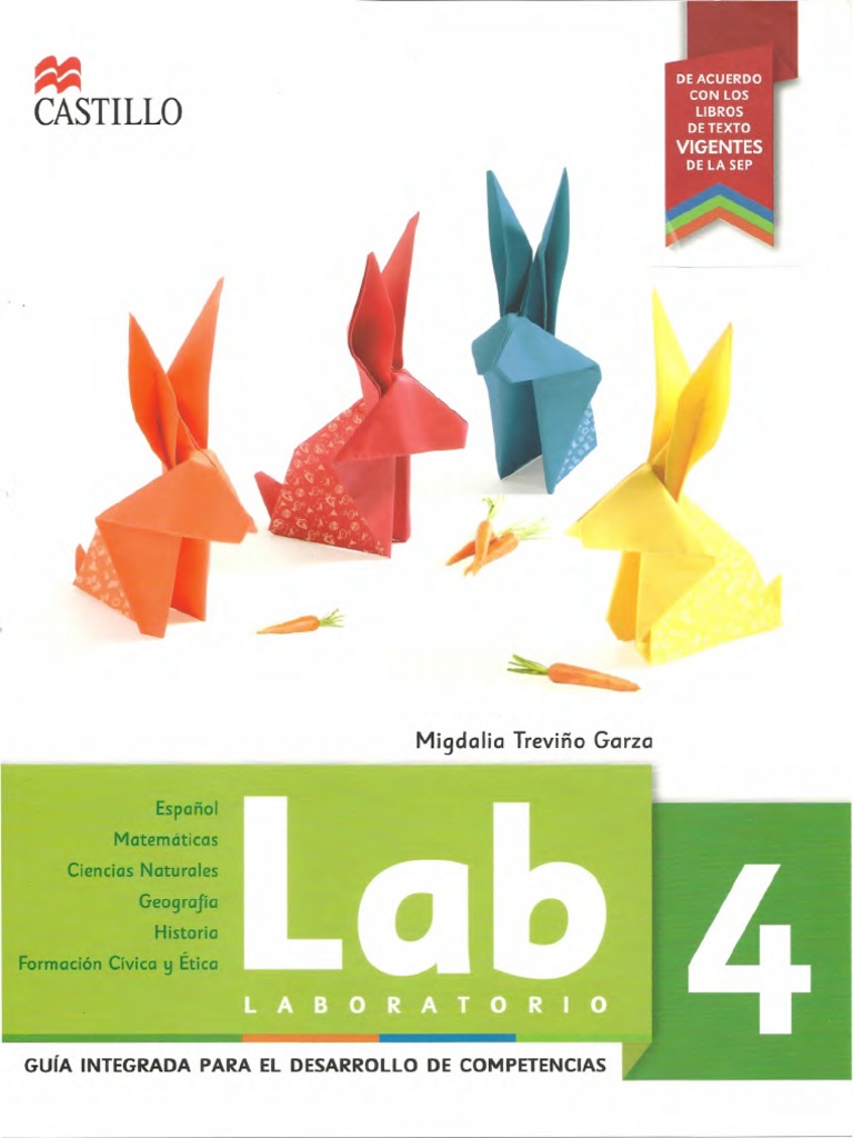 Lab 4to 2015 PDF | PDF | Mapache | México
