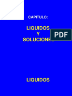 CAP.LIQUIDOS-2017-1