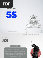 Programa 5S