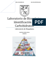 Pract Identificacion de Carbohidratos PDF