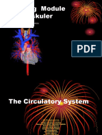 The Circulatory System