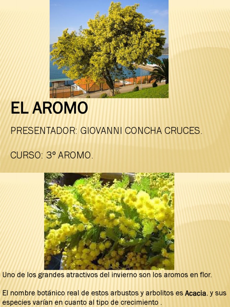 el-aromo-pdf-hogar-y-jard-n