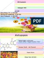 ANTOSIANIN] Stabilitas Pigmen Alami