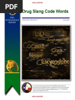 Download DEA SlangNicknames by Mariah Medina SN350995223 doc pdf