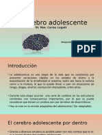 El cerebro adolescente: cambios y desarrollo