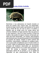 Historia de la cama.docx