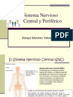 SN Soraya PDF
