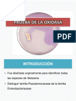 Prueba de La Oxidasa