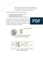 El Almidón  Materia Prima Para Modificar La Textura y Consistencia de Los Alimentos