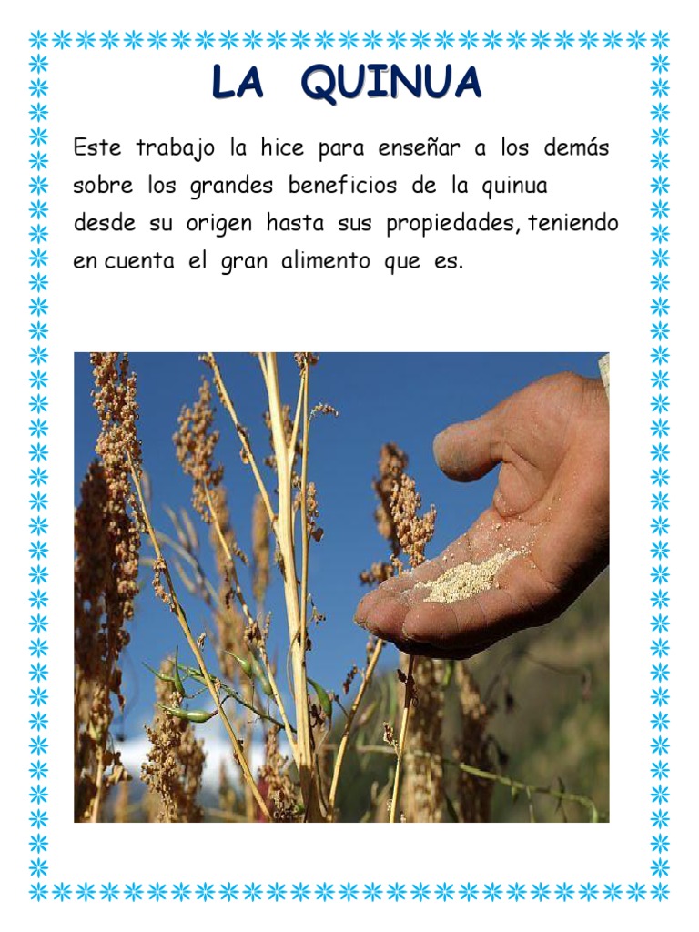 LA QUINUA Quinua Nutrición