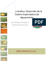 Cadena Exportadora Aguaymanto Juan Portugal Villa Andina