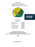 MAKALAH Sistem Reproduksi