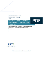 462 - SGSST Argentina PDF