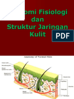Anatomi Fisiologi Dan Struktur Kulit