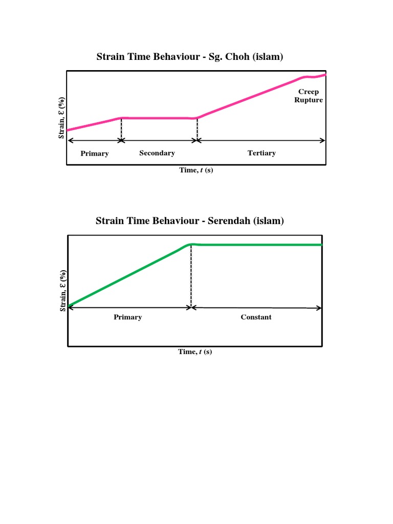 Strain Time Behavior Analysis | PDF