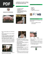 Ciclo de Vida y Manejo de Cerdos | PDF | Cerdo doméstico | Destete