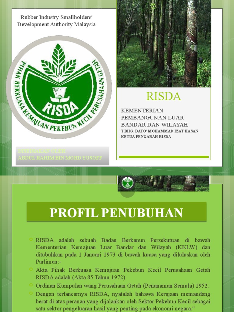 Risda Fungsi Pdf