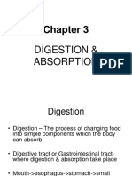 Digestion & Absorption - Ch 3