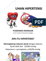 Penyuluhan Hipertensi PKM MGR