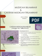 Cakram Mudigah Bilaminar Spesial 1