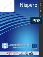 GT Nispero PDF