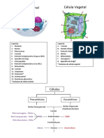 Resumoglobalbiologia11 2 PDF