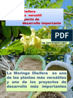 Moringa Oleifera Planta Versatil Proyect PDF