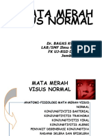 Kuliah 3 - Mata Merah Visus Normal [Dr. Bagas K., Sp.M]