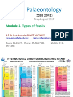 2 Types of Fossils 25-05-2017