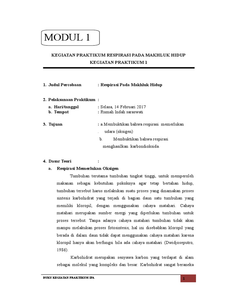 Buku Kegiatan Praktikum Ipa Pdf