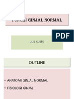 23. Normal Kidney Function