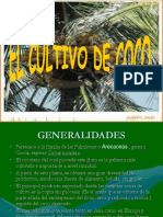 cultivodelcoco-111201112546-phpapp02.pdf