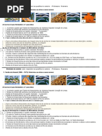 AAtividade de Revisão