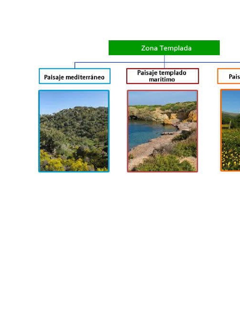 Las Diferentes Zonas Climáticas TEMPLADAS | PDF | Zona tropical | Clima ...