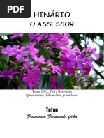 Teteo - O Assessor 