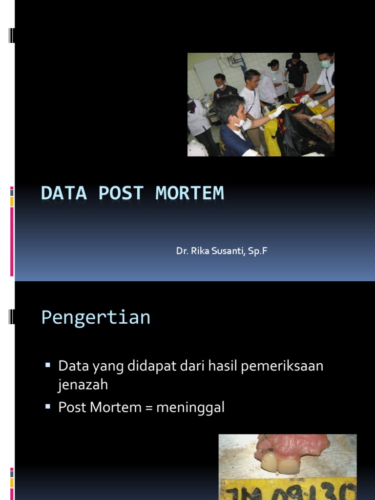 Data Post Mortem | PDF