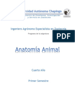 Anatomía Animal