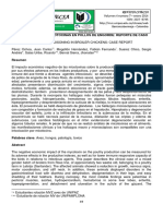 Intoxicación Por Micotoxinas en Pollos de Engorde PDF