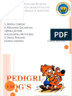 Pedigrí