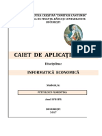Caiet Excel UCDC (4)
