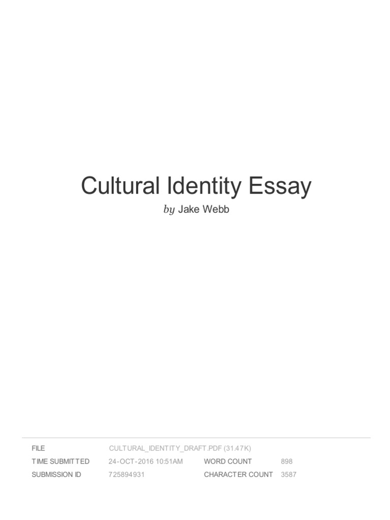 ethnic identity essay