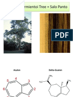 Bulnesia Sarmientoi Tree = Salo Panto