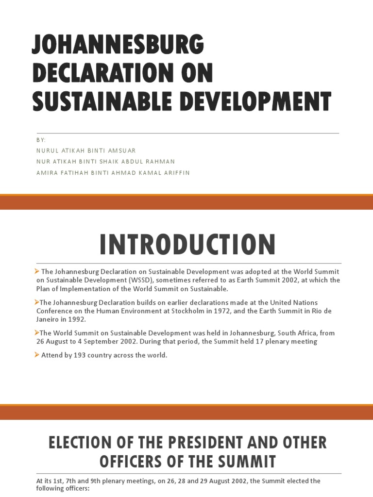 Johannesburg Declaration On Sustainable Development PDF