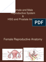 F and M Repro Syst Imaging