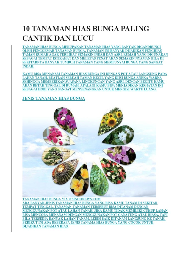 10 Tanaman Hias Bunga Paling Cantik Dan Lucu 10 Tanaman Hias Bunga Paling Cantik Dan Lucu